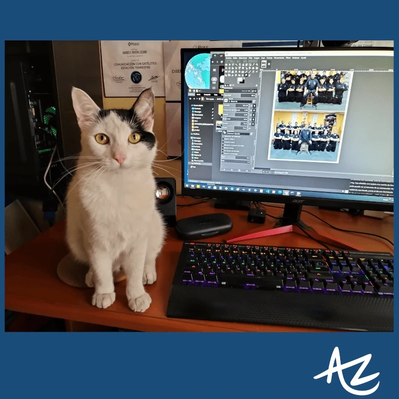 WebDesign: Agatha 🐱 Work